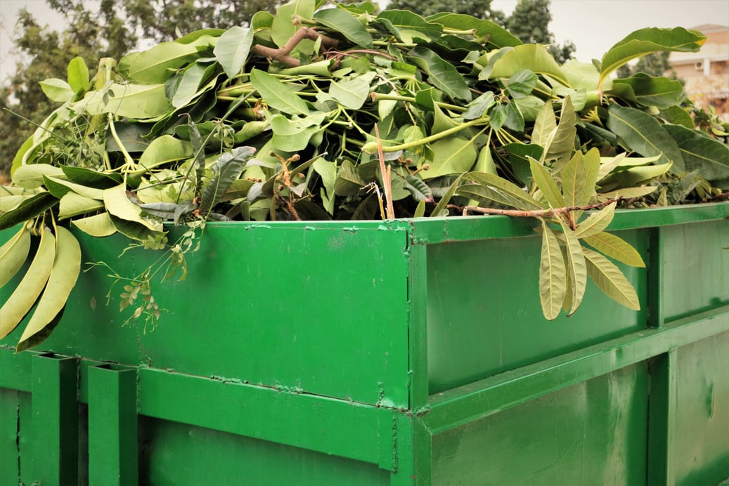 Garden Waste in Green Skip